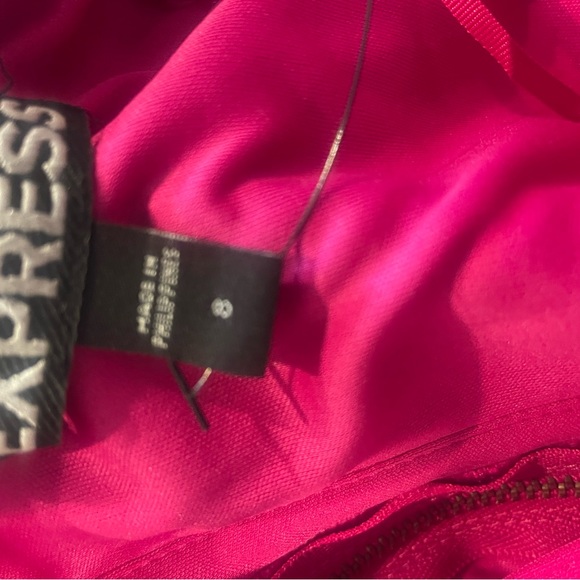 Hot Pink Express Dress - Picture 3 of 3
